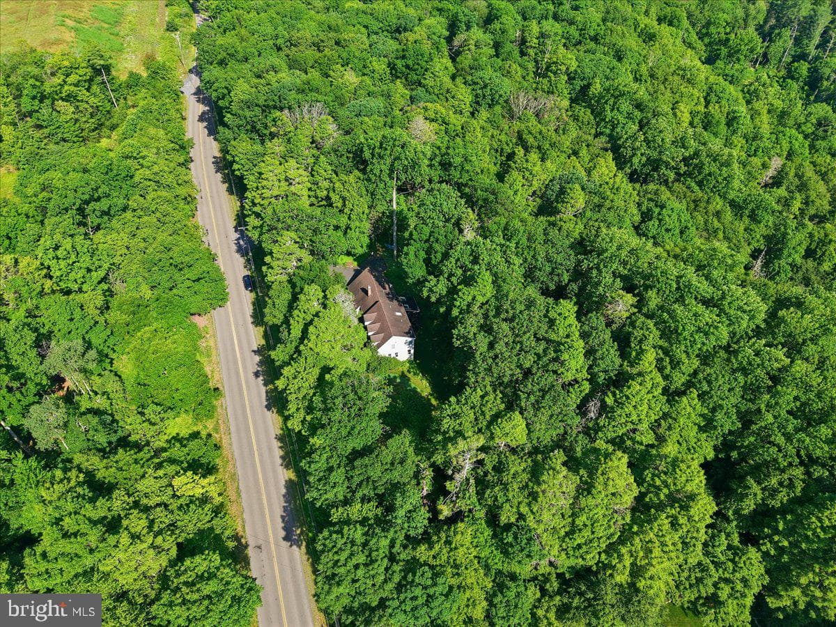 875 Greenview Drive photo 64
