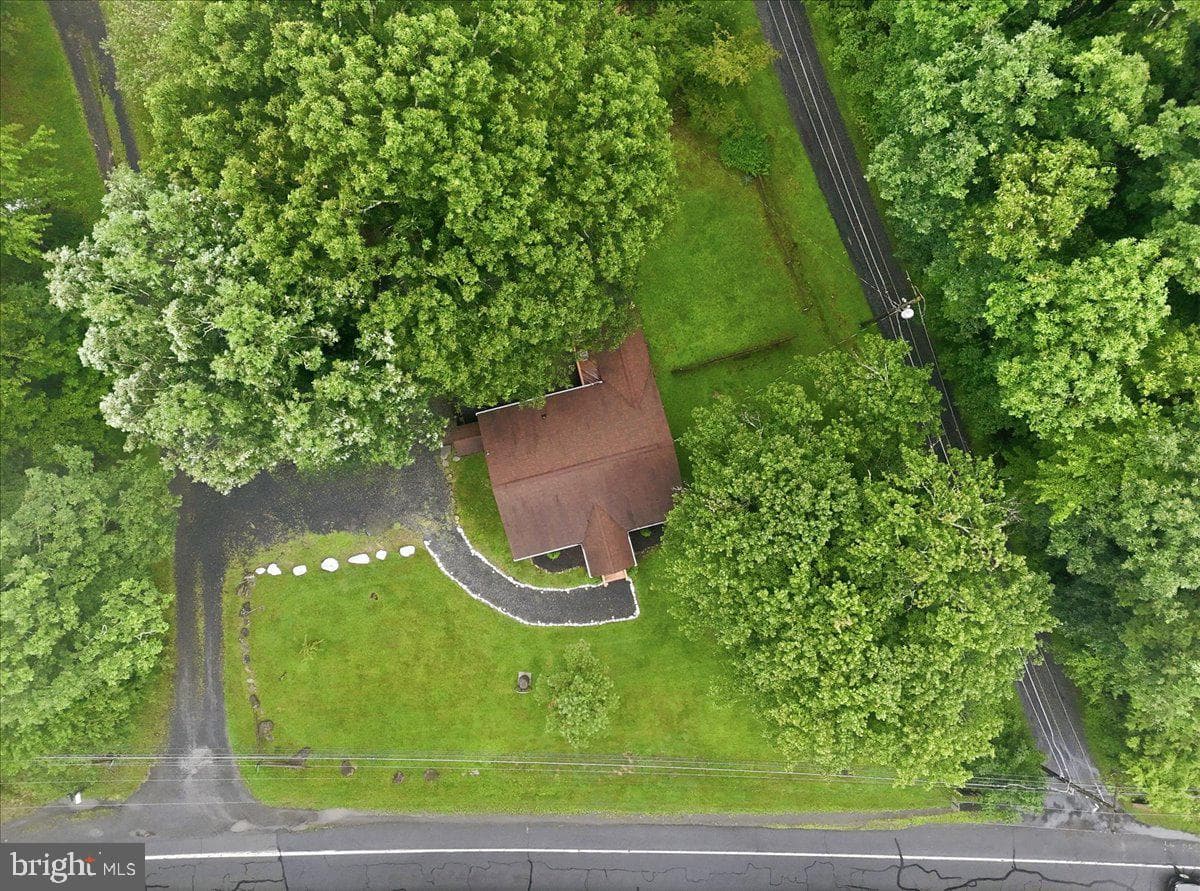 332 Route 390 photo 41