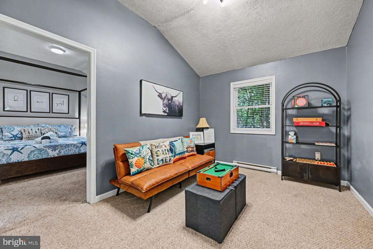 5376 Conoquenissing Drive photo 44