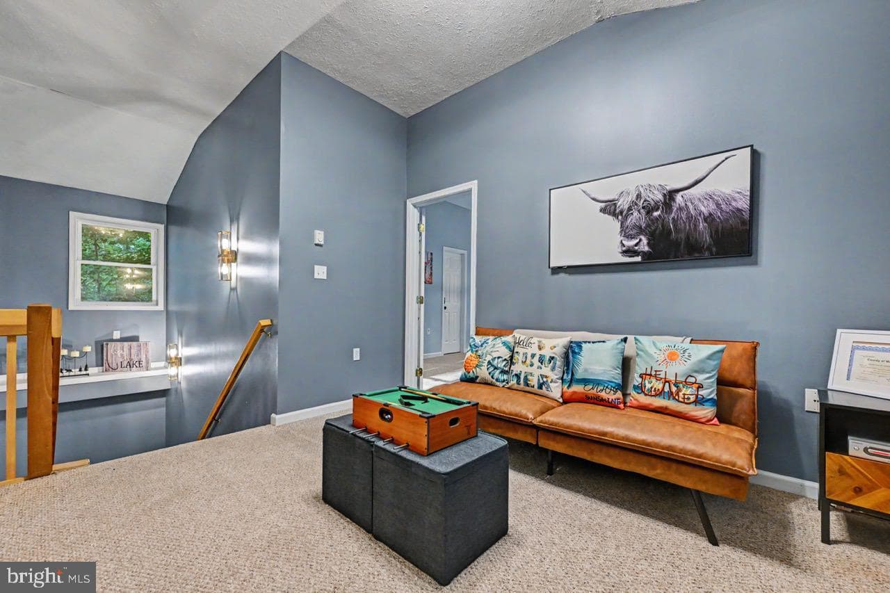 5376 Conoquenissing Drive photo 50