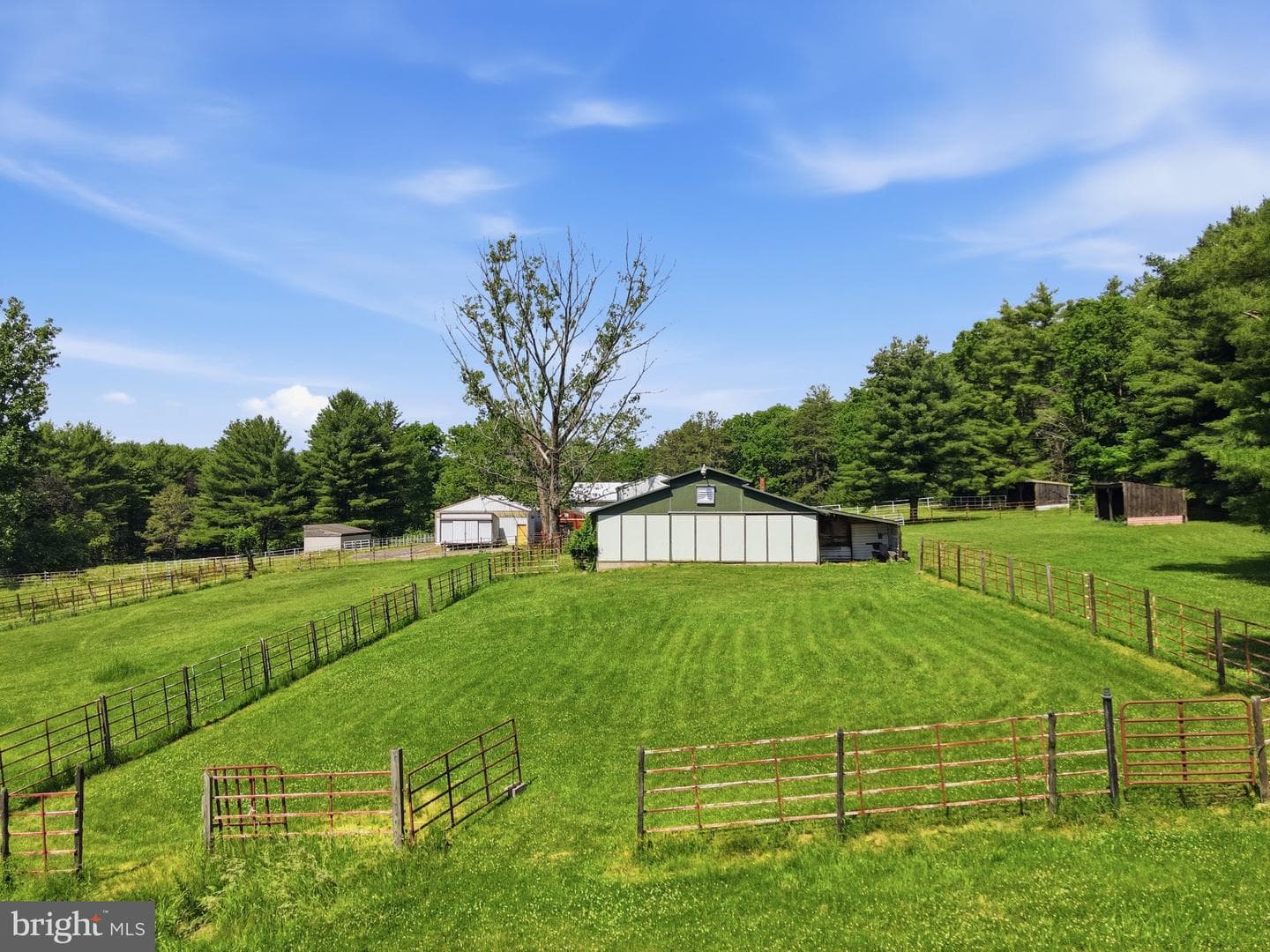 1163 Bush Road photo 44