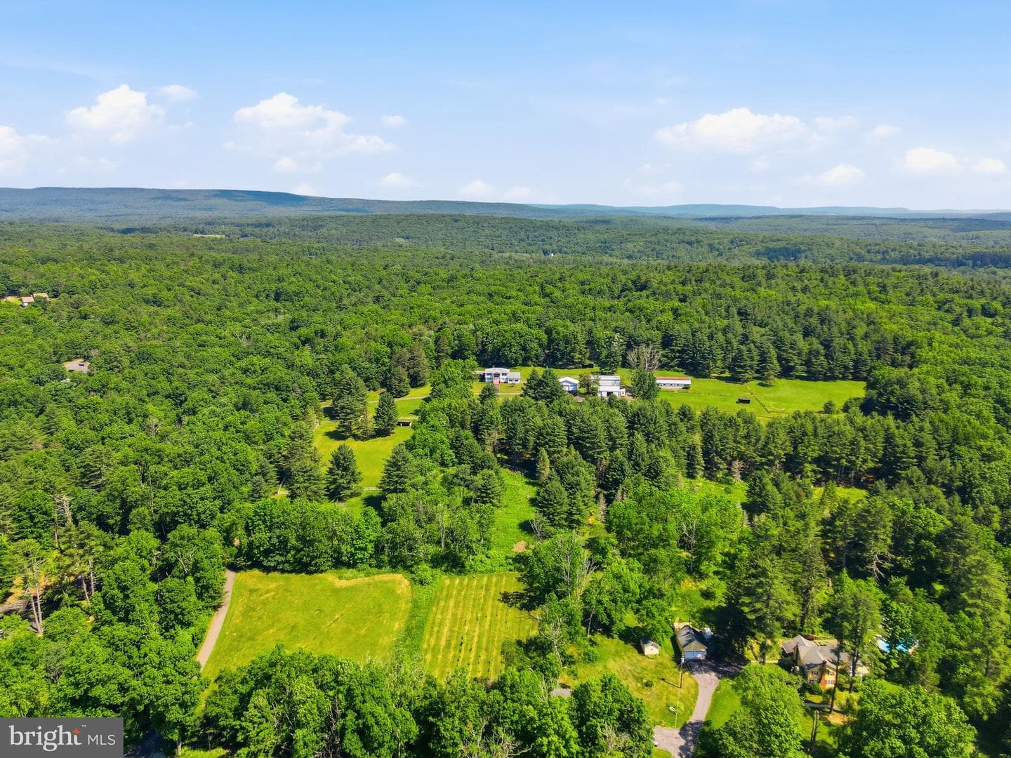 1163 Bush Road photo 49