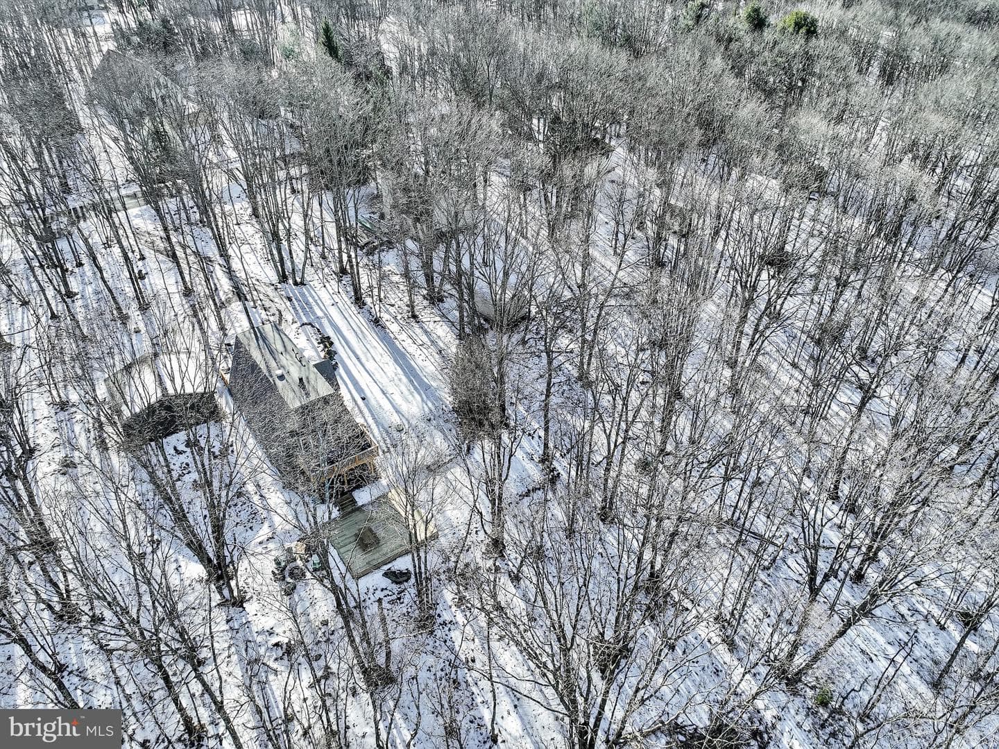 229 Brier Crest Road photo 93