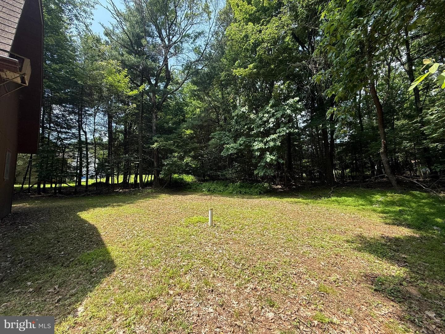 2542 Skyway Drive photo 6