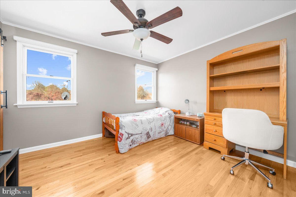 840 Blue Mountain Drive photo 39