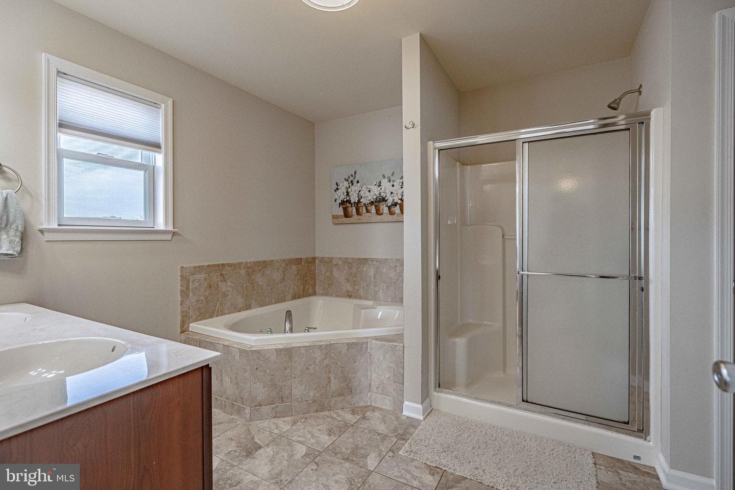 4 Millbrook Court photo 39