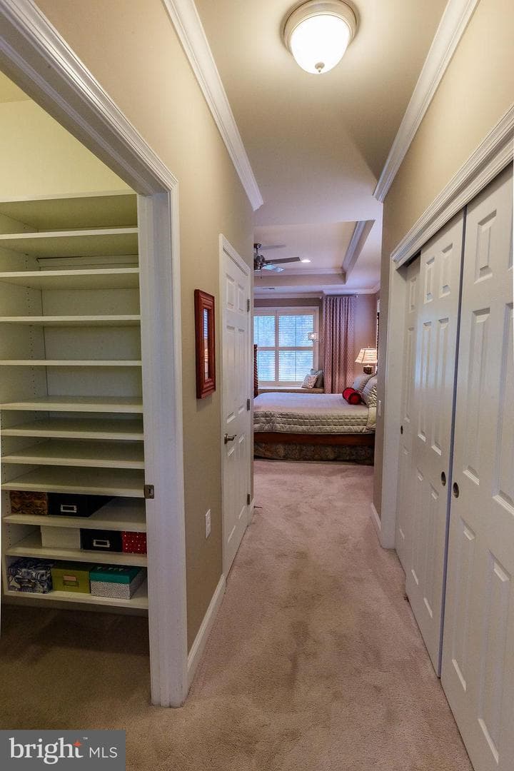 1069 Resolution Drive photo 37