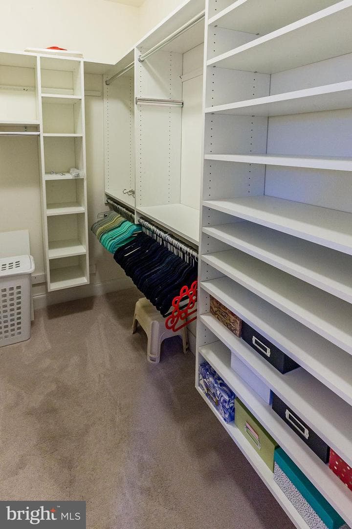 1069 Resolution Drive photo 38