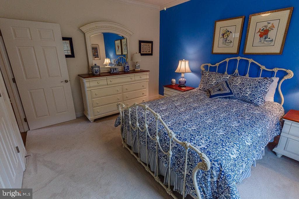 1069 Resolution Drive photo 44