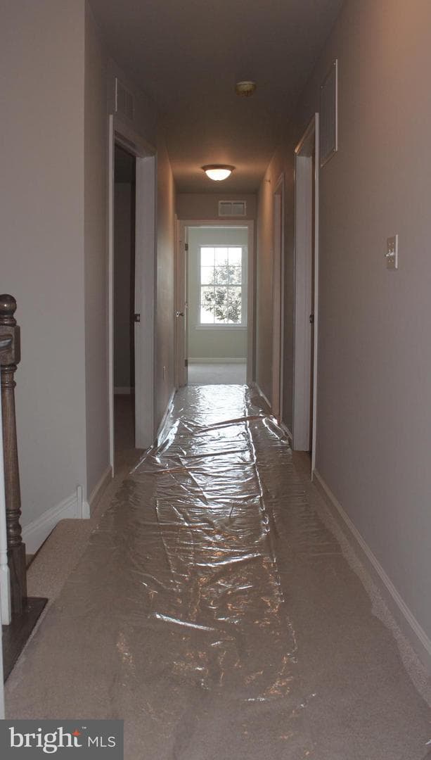 25 Kiernan Avenue photo 5