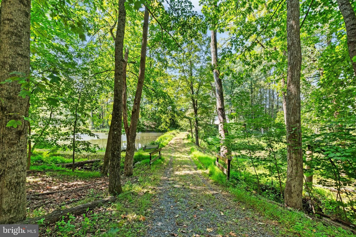1578 Hafler Road photo 29
