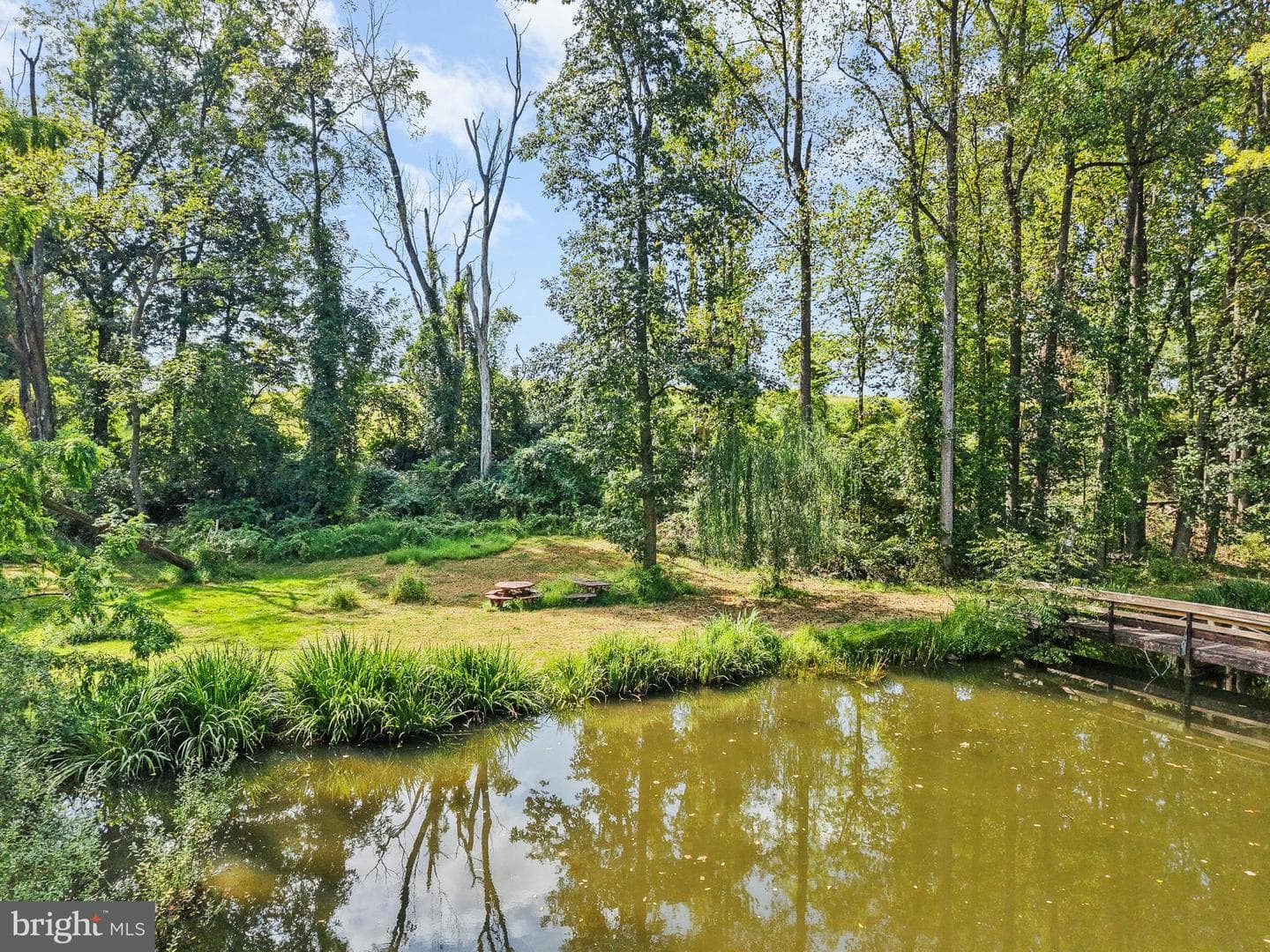 1578 Hafler Road photo 34