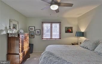 536 Carol Lane photo 22