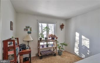 536 Carol Lane photo 30