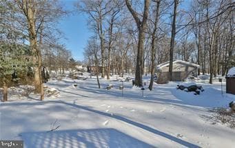 536 Carol Lane photo 52