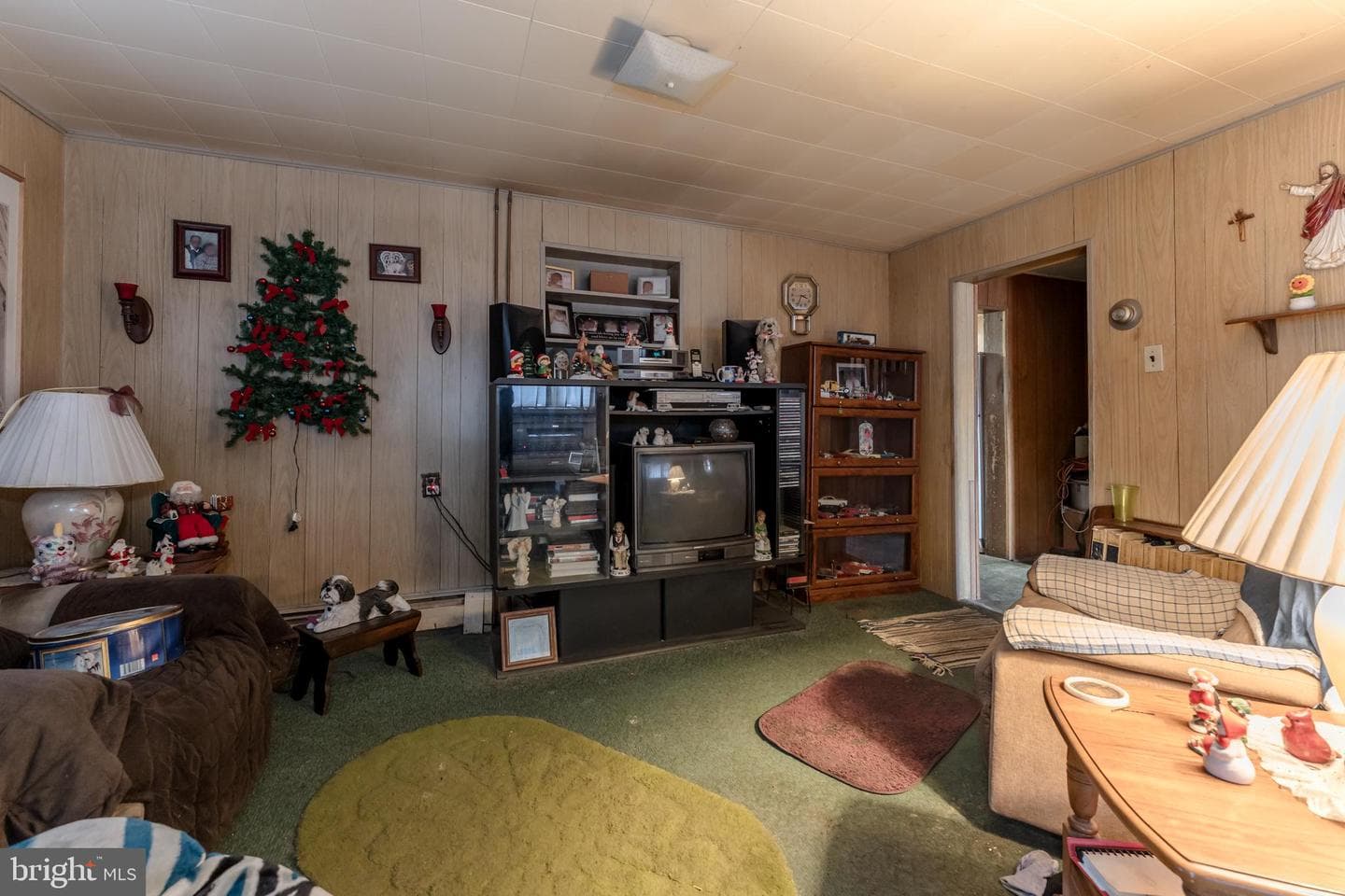 1358 Blue Mountain Drive photo 19