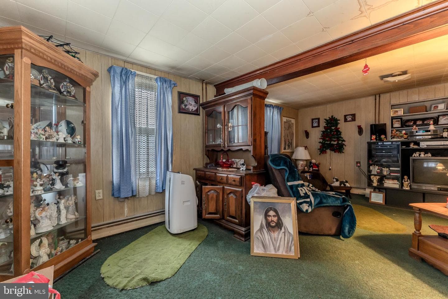 1358 Blue Mountain Drive photo 20