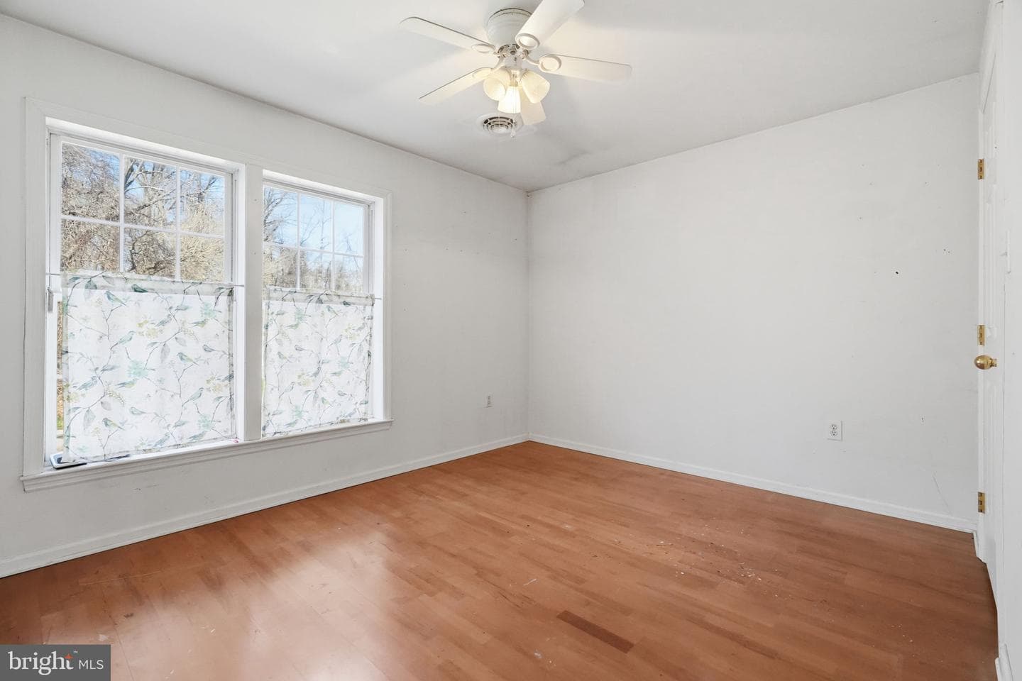 2531 Apple Street photo 34