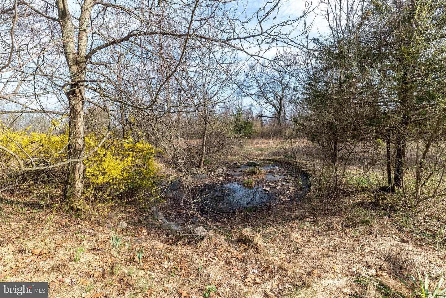 2672 Banko Lane photo 6