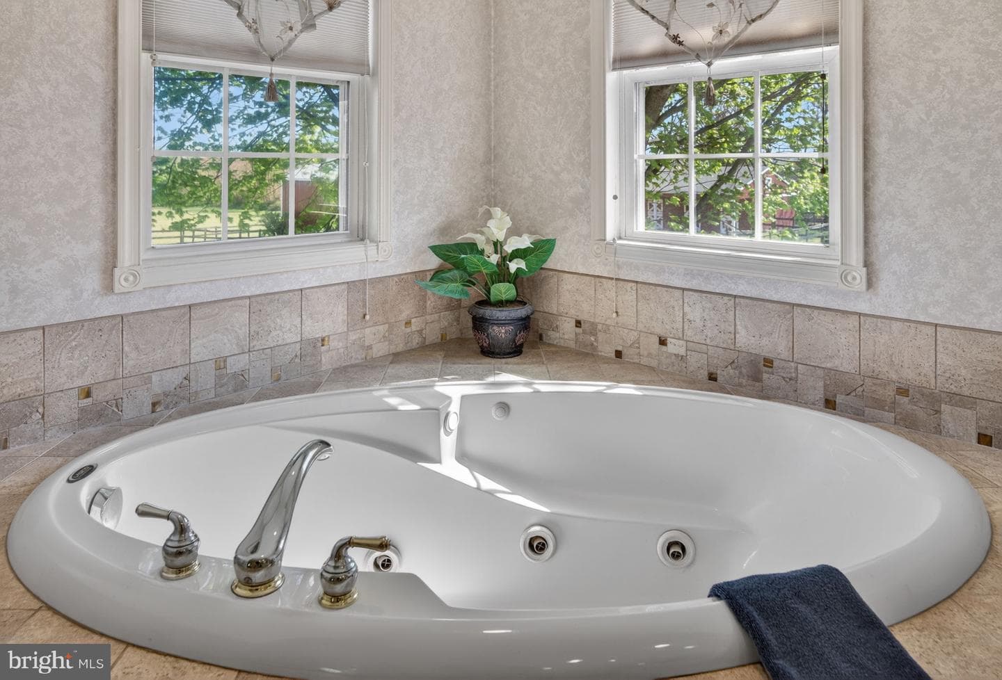 1135 Myrtle Road photo 33