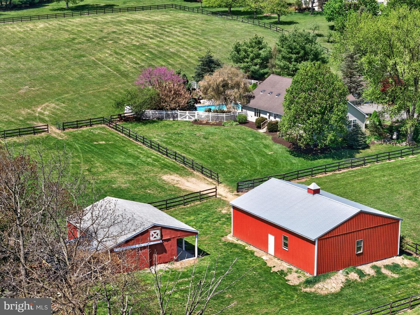 1135 Myrtle Road photo 4
