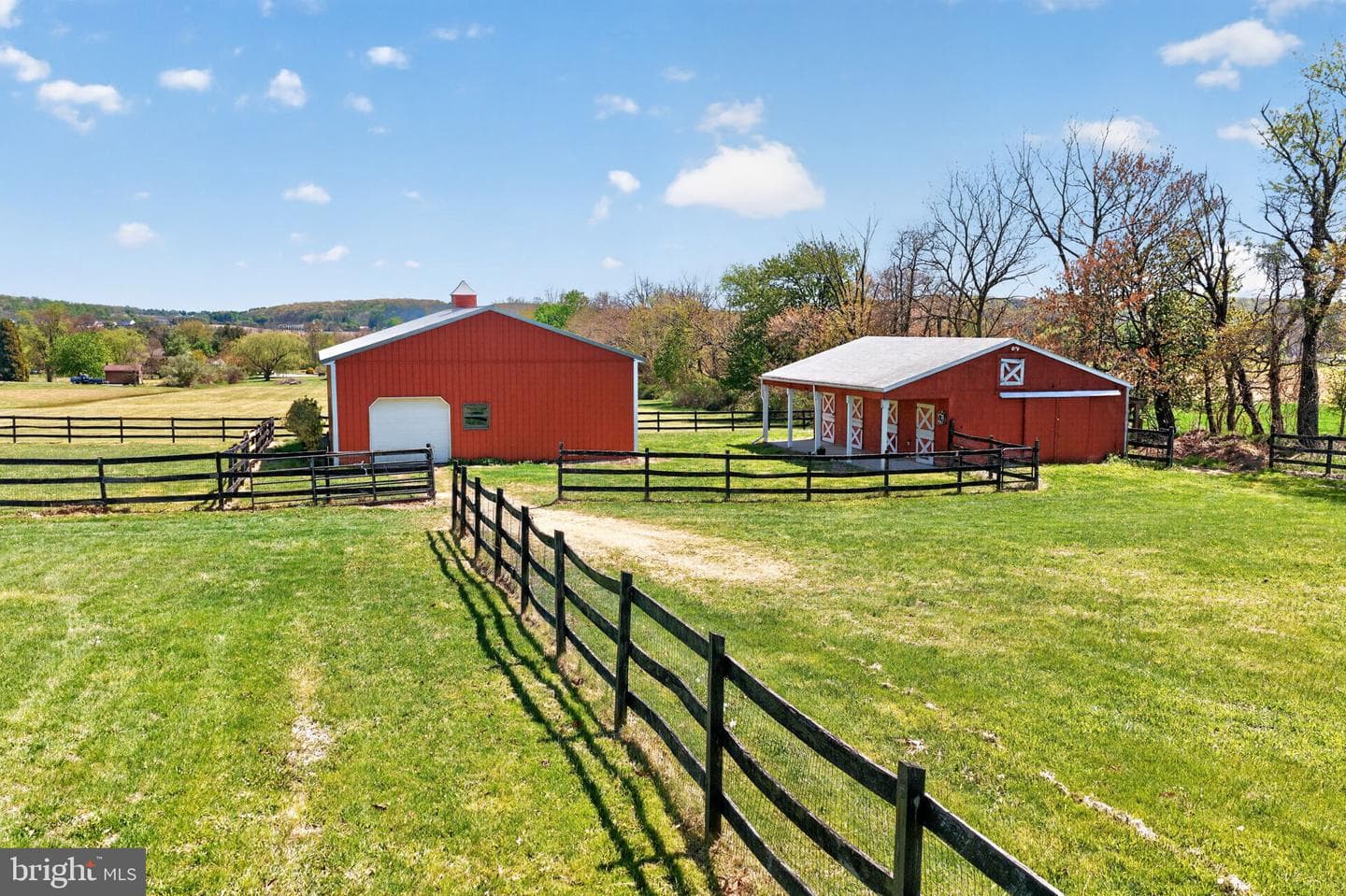 1135 Myrtle Road photo 55