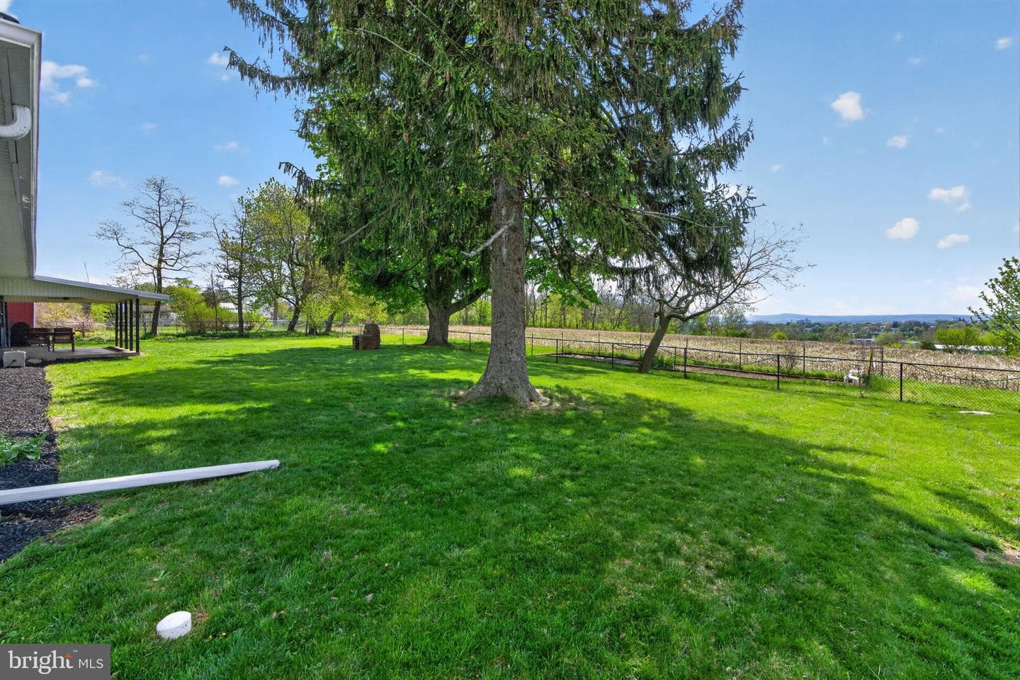 141 Siegfried Avenue photo 11