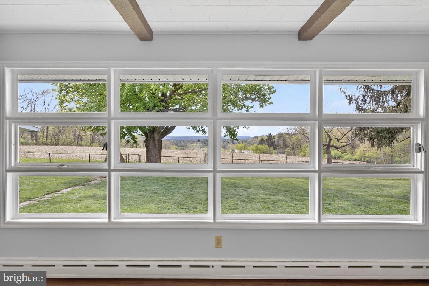 141 Siegfried Avenue photo 34