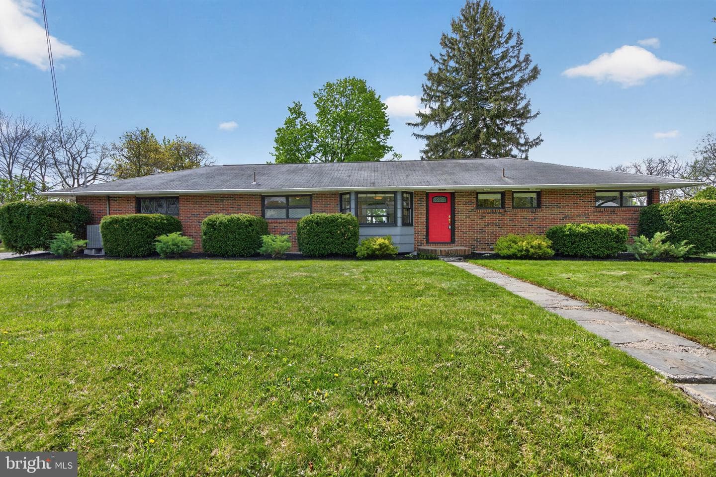 141 Siegfried Avenue photo 4
