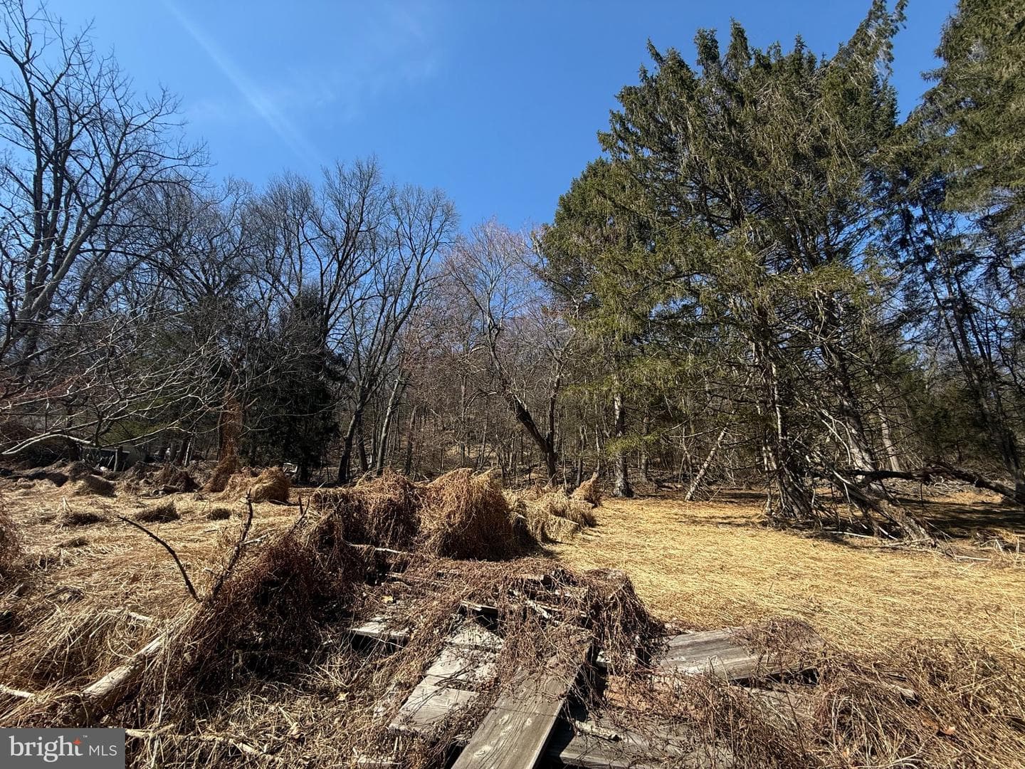1229 Seidersville Road photo 9
