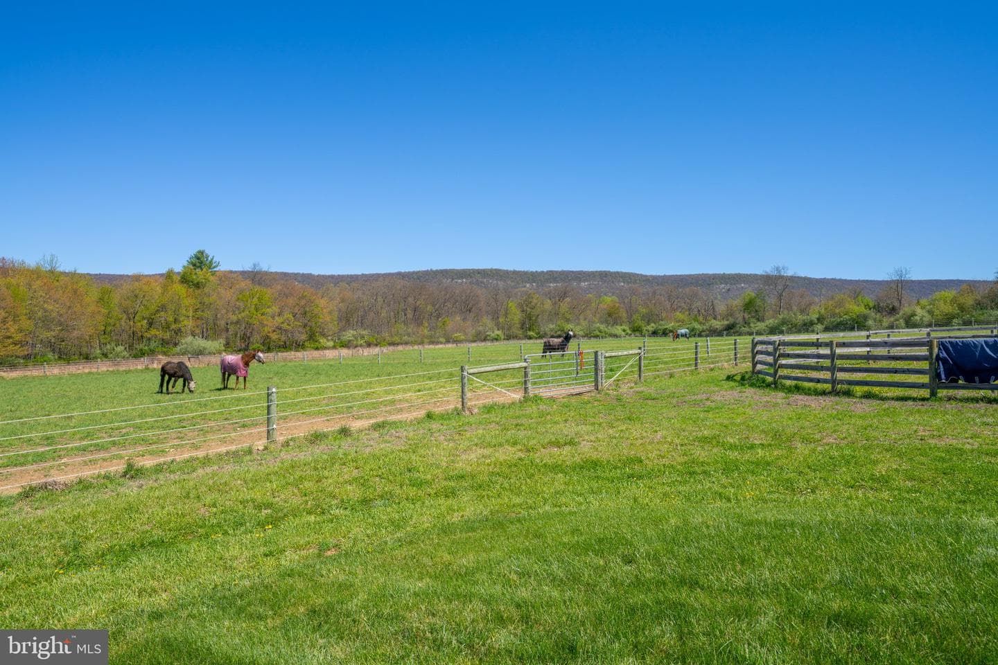 3670 N Dogwood Road photo 27