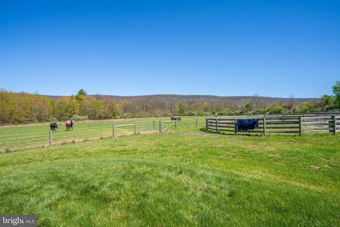3670 N Dogwood Road photo 28