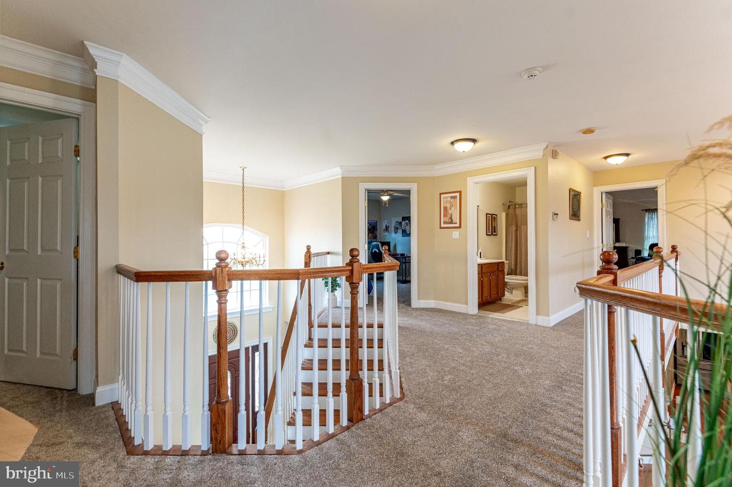 4415 Crosswinds Drive photo 35