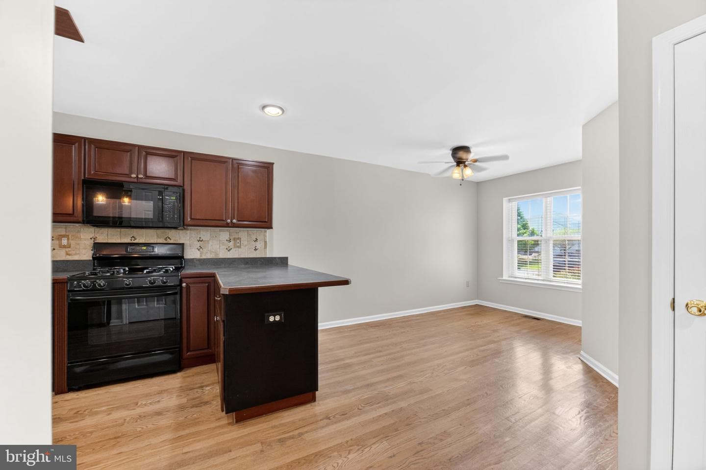 224 Park Ridge Drive photo 10