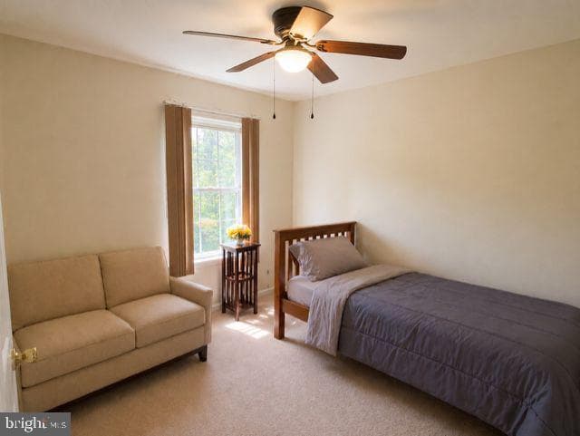 133 Forest Line Road photo 14