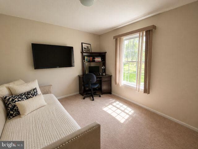 133 Forest Line Road photo 15