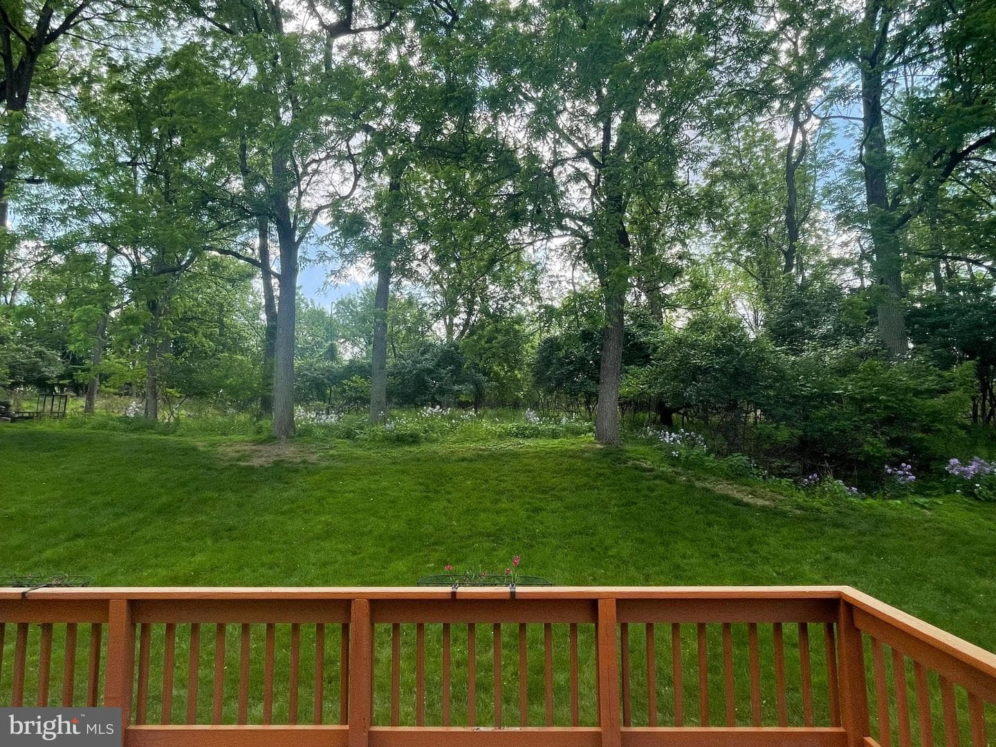 133 Forest Line Road photo 22