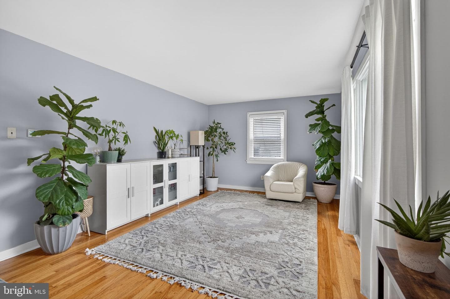 1802 Snyder Street photo 5
