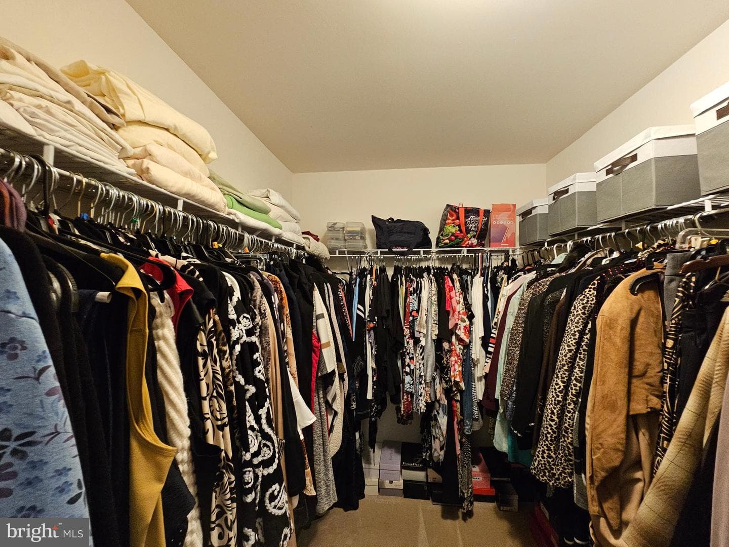 30 Melchor Drive photo 35