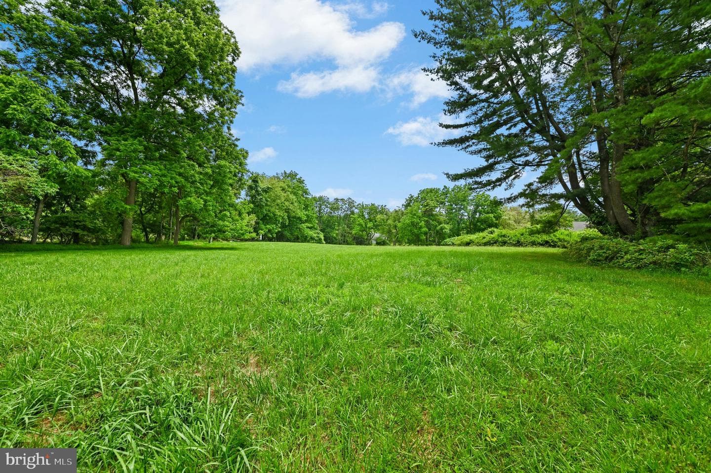 1501 Colesville Road photo 32