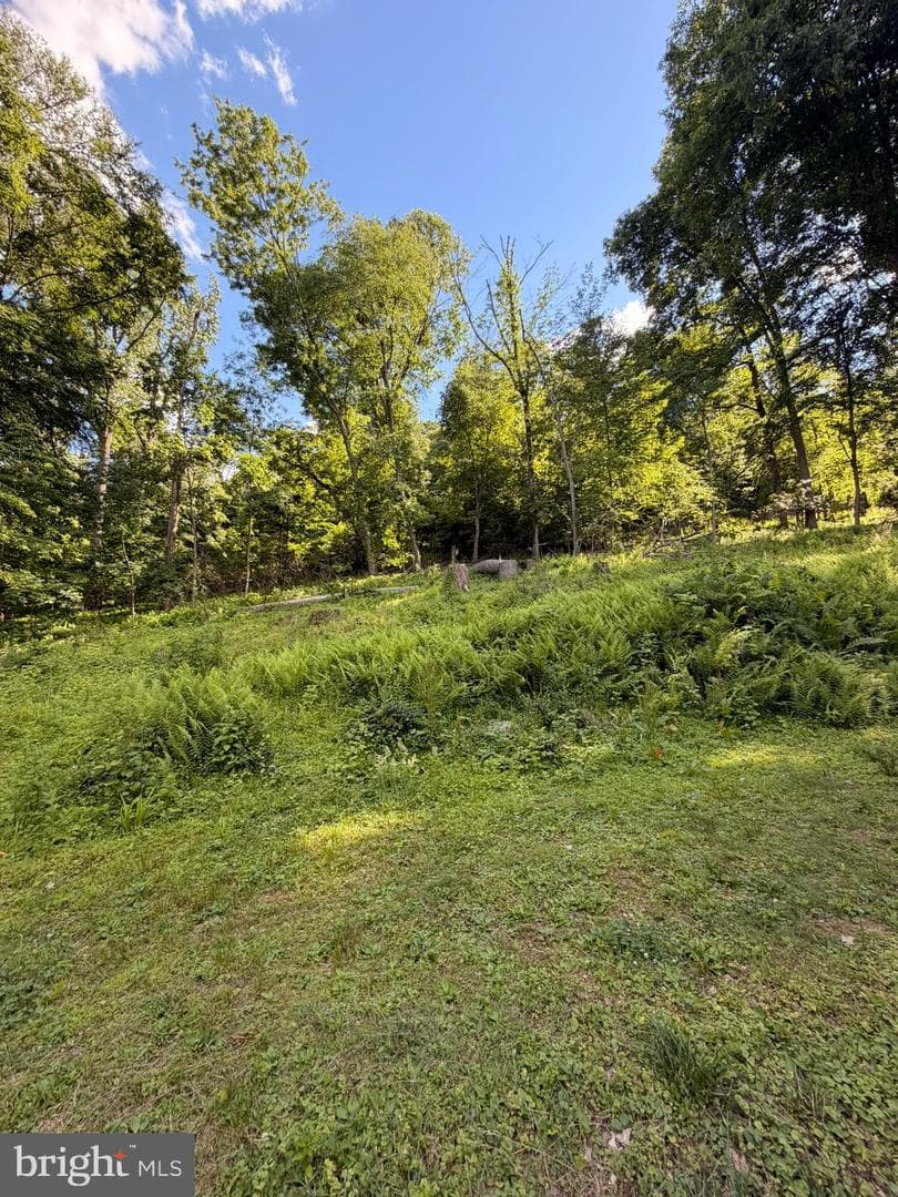 4192 River Rd photo 20