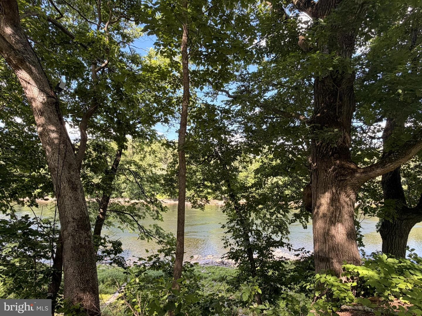 4192 River Rd photo 21