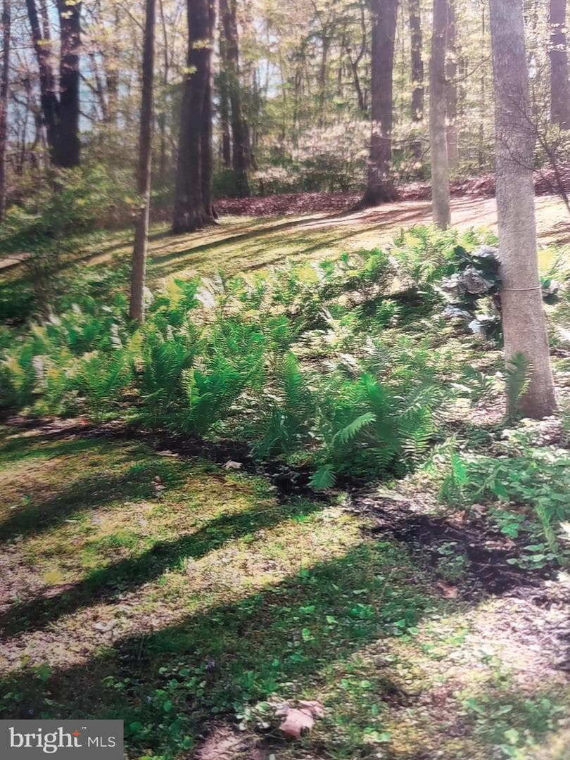 3725 Oakland Road photo 43