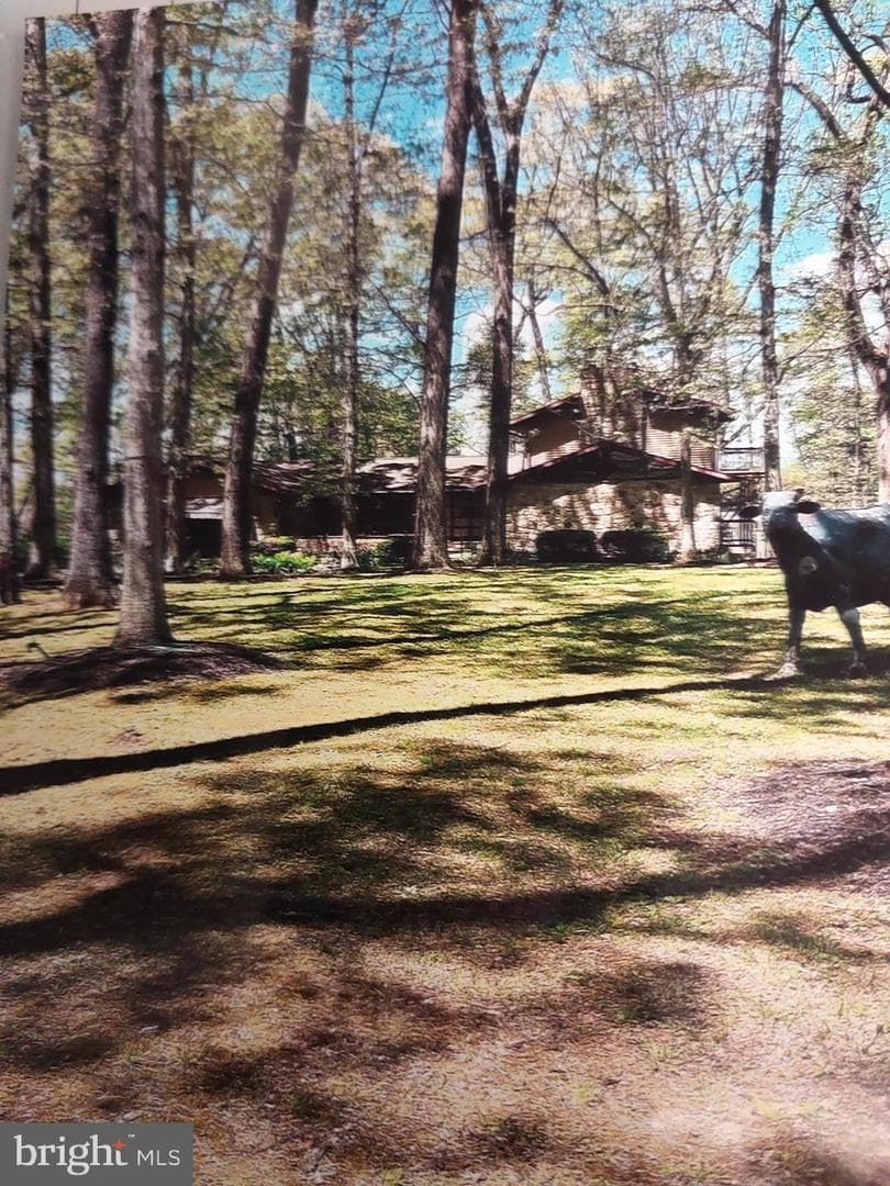 3725 Oakland Road photo 6