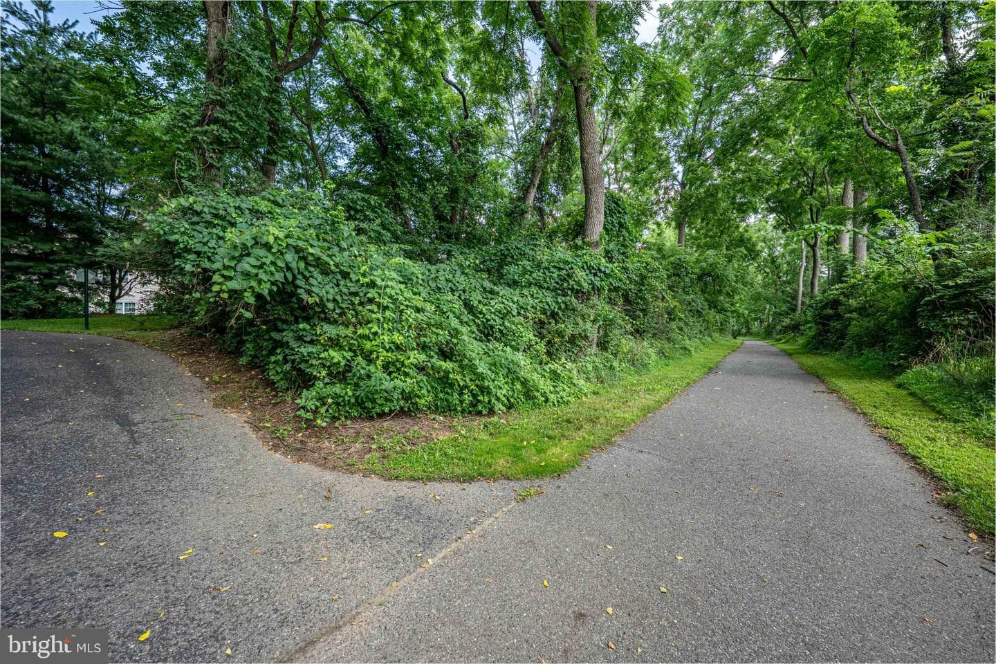 889 Iron Lane photo 40