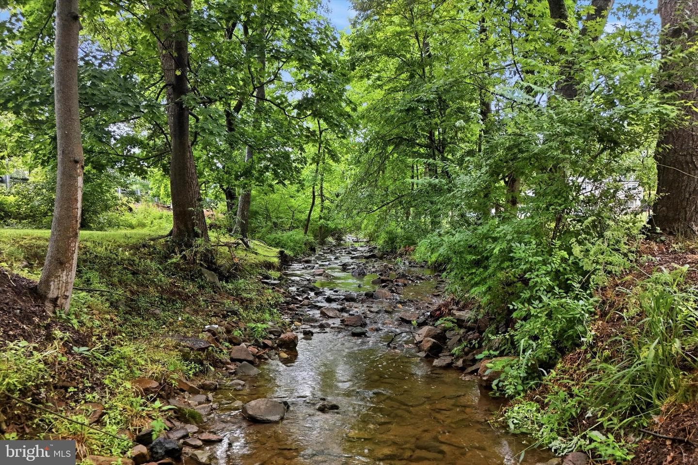 2505 Black River Road photo 13