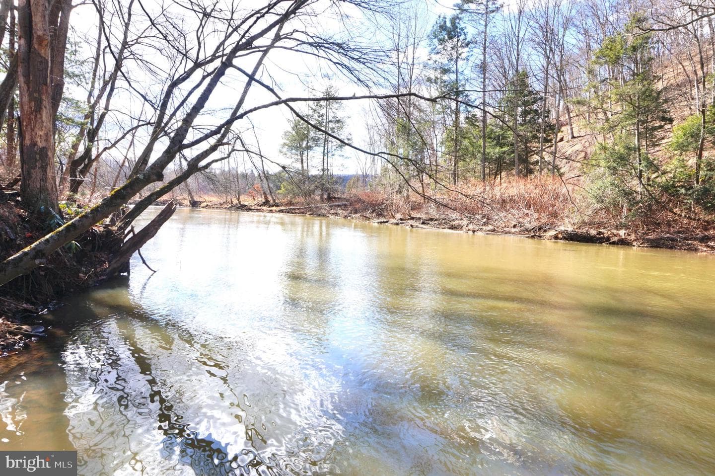 4185 Route 225 photo 6