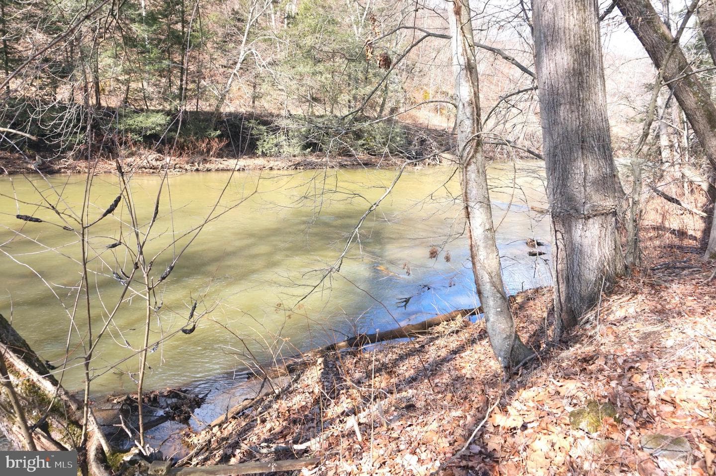 4185 Route 225 photo 7