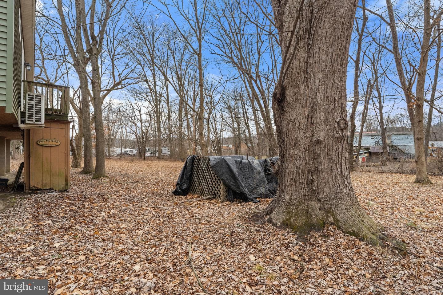 273 Shady Lane photo 42