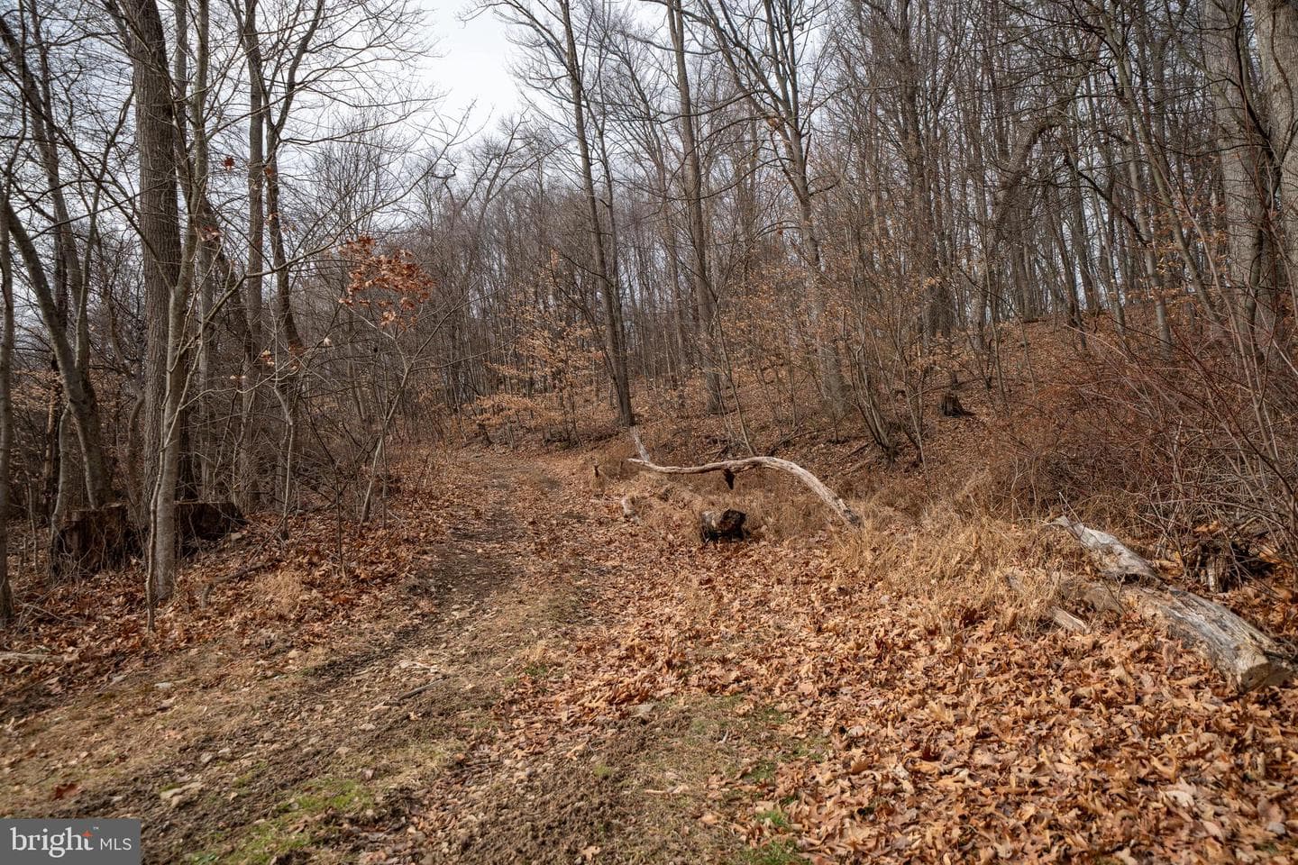 338 Culp Road photo 42